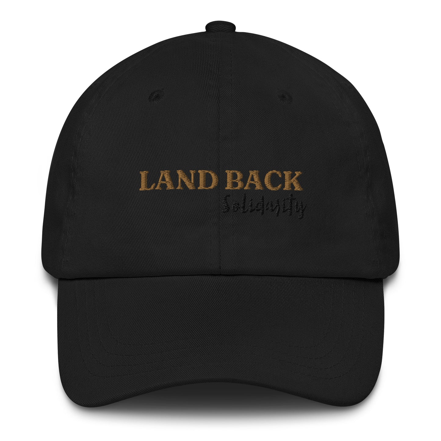 ⚝ MINNESOTA MADE | LAND BACK | BLACK SOLIDAIRTY DAD HAT