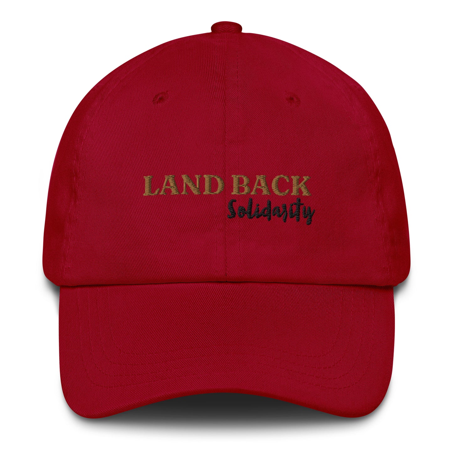 ⚝ MINNESOTA MADE | LAND BACK | BLACK SOLIDAIRTY DAD HAT
